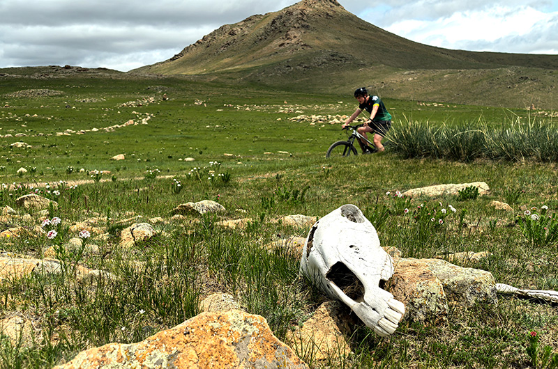 Cycling and mountain biking holiday in Mongolia